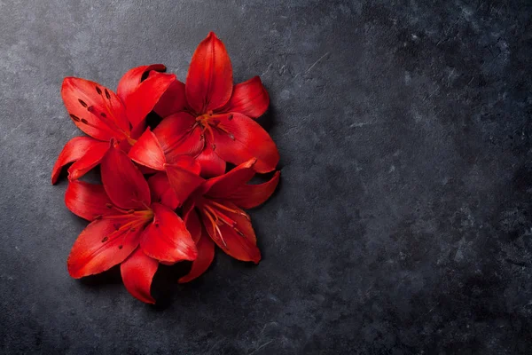 Piros liliom virágok — Stock Fotó
