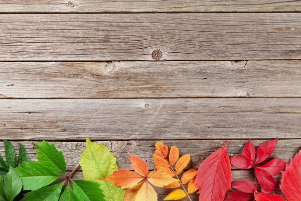 Achtergrond met kleurrijke bladeren — Stockfoto