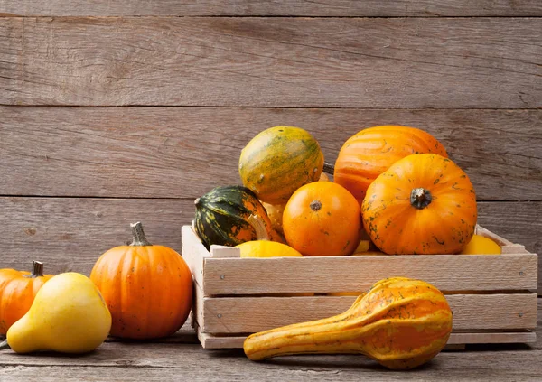 Calabazas de otoño sobre mesa de madera — Foto de Stock