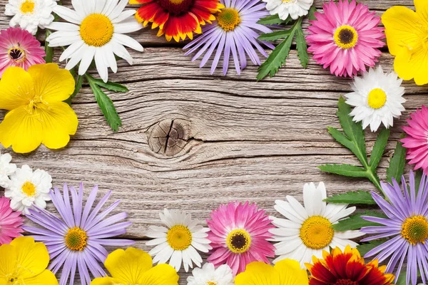 Giardino fiori di colore — Foto Stock