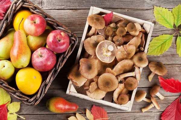 Podzimní houby a ovoce — Stock fotografie