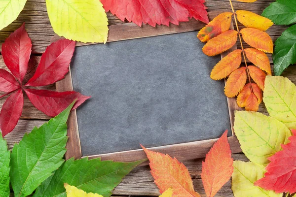 Autumn chalkboard and leaves — Stock Photo, Image