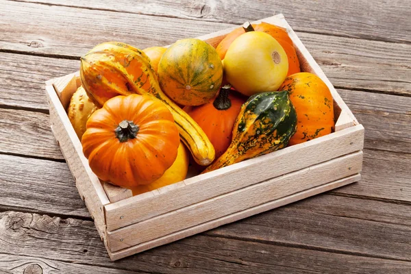 Autumn pumpkins in box — Stock Photo, Image