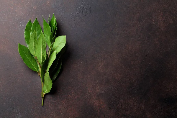 Yeşil defne yaprağı