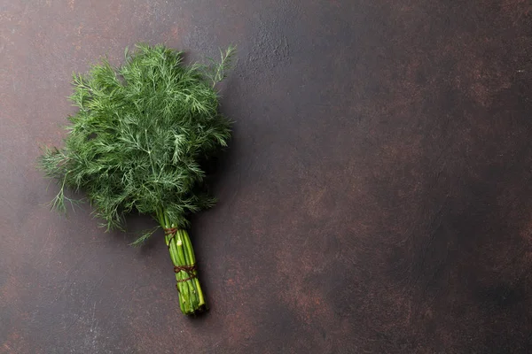 Dill grön lämnar — Stockfoto