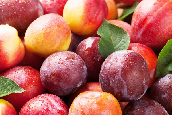 Fresh peaches and plums Royalty Free Stock Photos