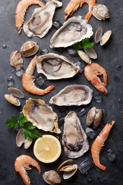 Oysters, prawns and scallops — Stock Photo, Image