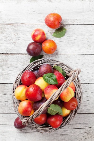 Ameixas frescas na cesta — Fotografia de Stock