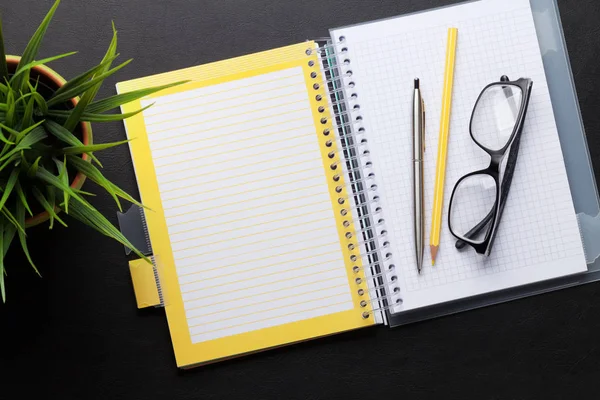 Escrivaninha com planta, bloco de notas e suprimentos — Fotografia de Stock