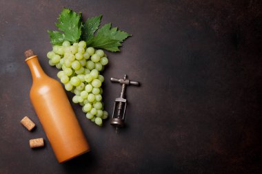 şarap şişesi ve üzüm