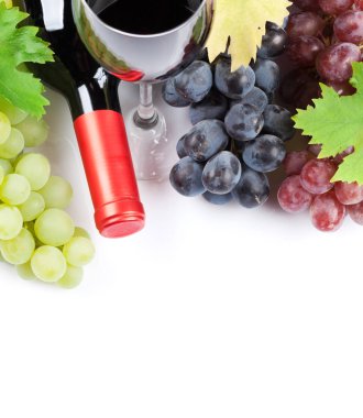 şarap şişeleri ve üzüm 
