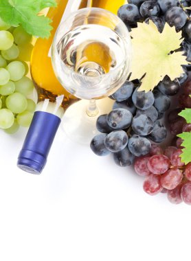 şarap şişeleri ve üzüm 