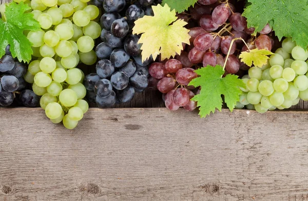 Copas de vino y uvas —  Fotos de Stock