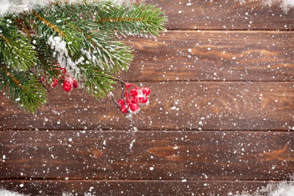 Xmas tree branch — Stock Photo, Image