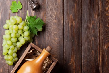 şarap şişesi ve üzüm