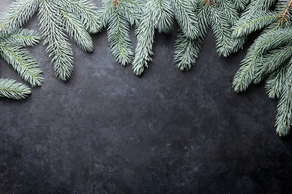 有冷杉树的圣诞节背景 — 图库照片