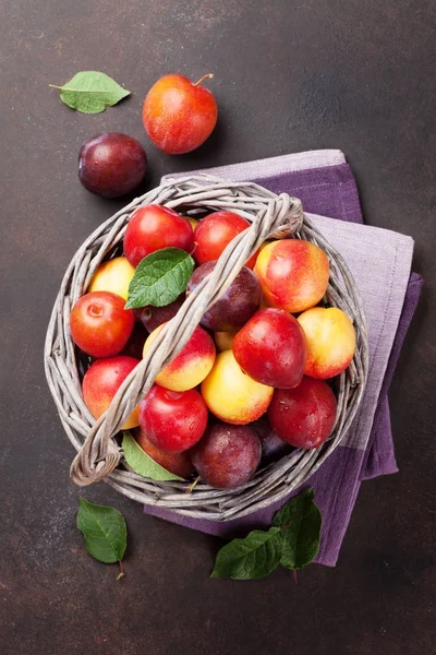 Verse rijpe pruimen — Stockfoto