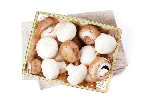 Kutusunda champignon mantar — Stok fotoğraf