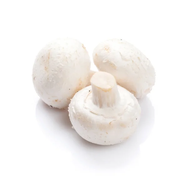 Grămadă de ciuperci champignon — Fotografie, imagine de stoc