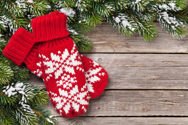 Christmas background with fir tree and mittens