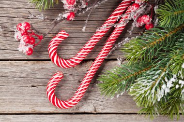 Noel şeker kamışları