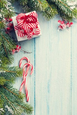 Noel şeker kamışı