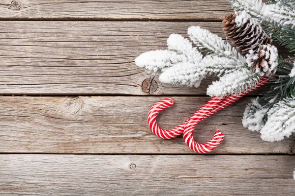 Noel şeker kamışı ve köknar ağacı — Stok fotoğraf