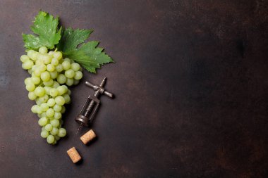 Üzüm taş zemin üzerine. Üstten Görünüm alanı ile