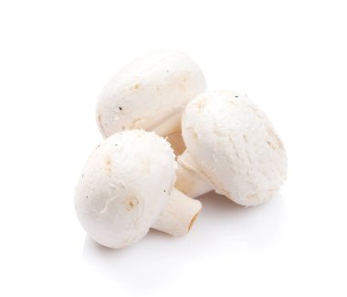 izole üzerinde beyaz arka plan beyaz champignon mantar