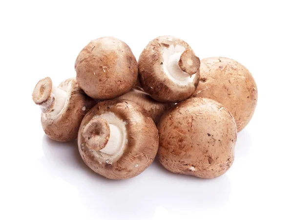 Haufen Champignon-Pilze — Stockfoto