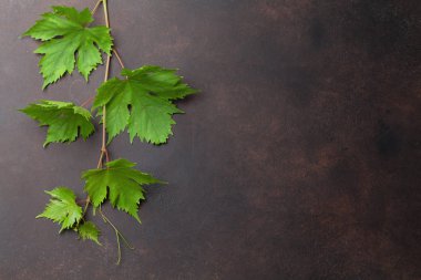 Üzüm asma taş masada. Metin alanı olan Üstten Görünüm
