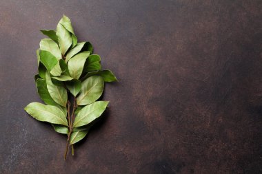 Defne yaprağı taş masada. Üstten Görünüm alanı ile