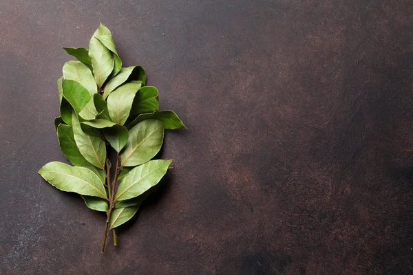 Defne yaprağı taş masada. Üstten Görünüm alanı ile