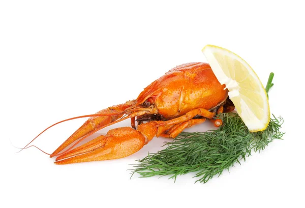 Crayfishes Βραστά Λεμόνι Φέτα Και Άνηθο Που Απομονώνονται Λευκό Φόντο — Φωτογραφία Αρχείου