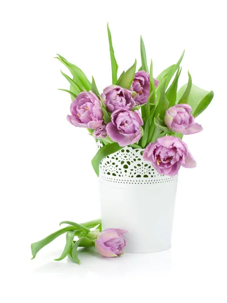 Pink Tulips Metal Flowerpot Isolated White Background — Stock Photo, Image