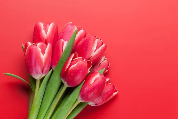 Ramo Flores Tulipán Rojo Sobre Fondo Colorido Tarjeta Felicitación Vista —  Fotos de Stock