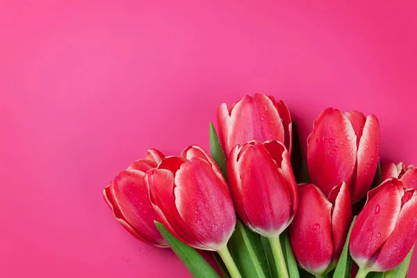 Red Tulips Bouquet Pink Background Copy Space — Stock Photo, Image
