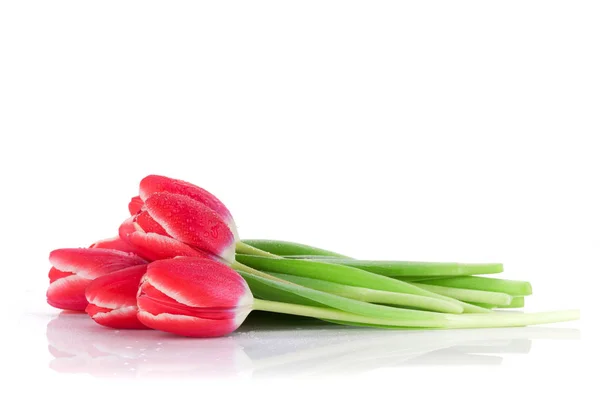 Red Tulips Bouquet Isolated White Background — Stock Photo, Image