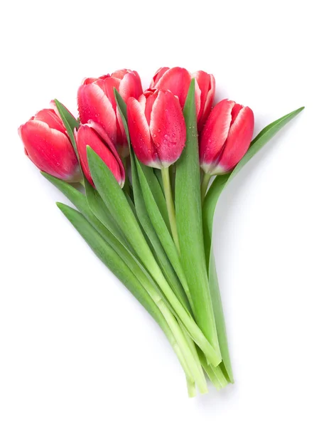 Röda Tulpaner Bukett Isolerad Vit Bakgrund — Stockfoto
