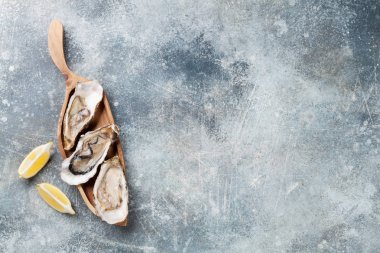 Taze istiridye taş masada. Metin alanı olan Üstten Görünüm