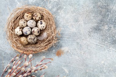 Bıldırcınlar yumurta yuva ve Kukum. Paskalya tebrik kartı. Selam yeri olan Üstten Görünüm