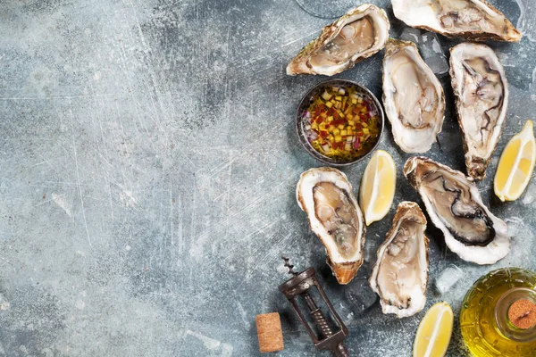 Fresh Oysters White Wine Stone Table Top View Space Your — Stock Photo, Image