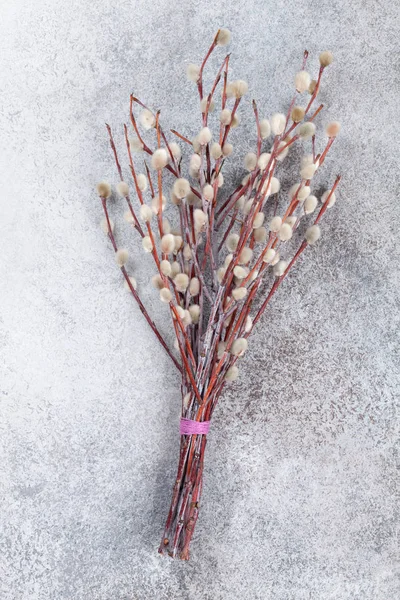 Pussy Willow Rustic Stone Background Easter Greeting Card — Stock fotografie