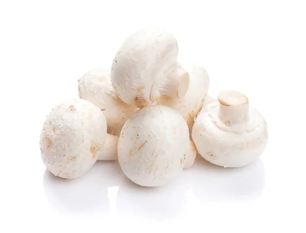 Champignon mushrooms. isolated on white background — Stock Image Champignon Mushrooms Isolated White Background Stock Photo