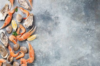 Deniz ürünleri. İstiridye, ıstakoz, istiridye. Senin metin için yer ile taş tabloda Üstten Görünüm