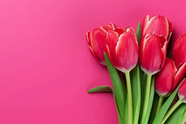 Ramo Tulipanes Rojos Sobre Fondo Rosa Vista Superior Con Espacio —  Fotos de Stock