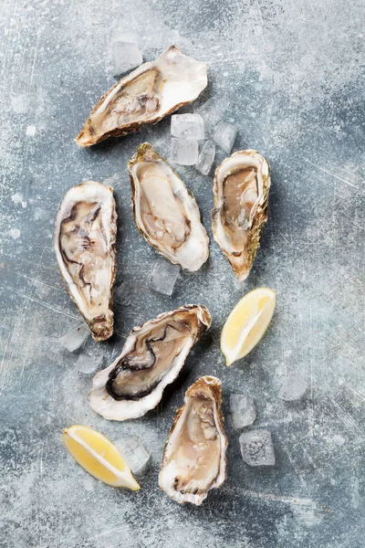 石のテーブルに新鮮な牡蠣 トップ ビュー — ストック写真