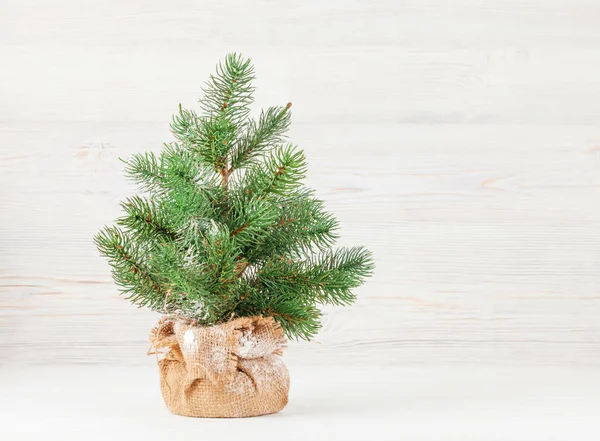 木製の壁の前に小さなモミの木とクリスマスグリーティングカードとあなたの夏の挨拶のためのスペースをコピー — ストック写真