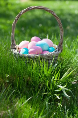 Yeşil çayır üzerinde paskalya yumurtası sepeti. Selamlarınız için kopyalama alanı ile