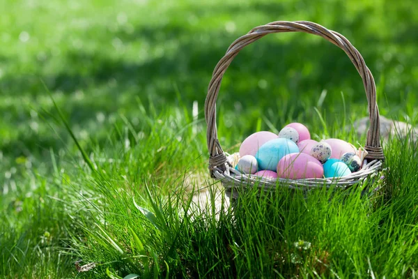 Yeşil Çayır Üzerinde Paskalya Yumurtası Sepeti Selamlarınız Için Kopyalama Alanı — Stok fotoğraf